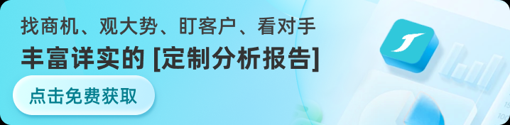 定制分析报告